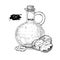 Bottle of walnut oil. Vector Hand drawn illustration. Glass pitcher vintage