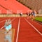 Bottle of water on athletics race, drinking, running, refreshment