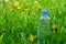 Bottle of water in the green grass. Copy space. Concept: ecology, health, fitness