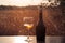 Bottle of white wine and a glass on a background of sunset savanna