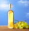 Bottle of wine with bunch of grapes - blue sky background