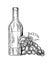 Bottle of wine and grapes engraving style vector
