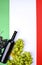 A bottle of wine, grapes, and the flag of Italy close-up. Country symbol backdrop. The concept of harvesting, august