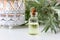 A bottle of wormwood essential oil with fresh Artemisia Absinthium twigs