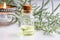 A bottle of wormwood essential oil with fresh Artemisia Absinthium twigs