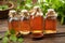 Bottles of birch essential oil, infusion or tincture. Birch syrup or coal tar oil bottles. Twigs of Birch tree with leaves.
