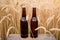 Bottles of dark beer are standing in a field among the grain crops of barley