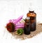 Bottles with essence oil with purple echinacea