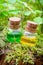 Bottles of essential oil or magic potion on moss