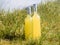 Bottles with fresh elderflower lemonade