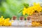 Bottles of homeopathy globules and healthy herbs