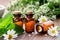 Bottles of homeopathy granules. Homeopathic remedies - Chamomilla, Mentha piperita. Daisies flowers and mint leaves on table.