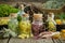 Bottles of infusion of medicinal herbs and healing plants on wooden table. Comarum palustre stems and roots, healthy moss