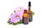Bottles of mallow essential oil and extract with fresh blooming malva sylvestris plant