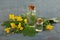 Bottles of natural celandine oil near flowers on blue wooden table