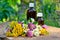 Bottles of oil and tinctures and fresh medicinal herbs on a background of the garden.