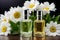 Bottles of Perfume on Table