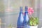 Bottles and pink flower at window