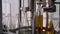 Bottling lemonade in glass bottles at the factory. Conveyor belt with glass bottles. Conveyor close-up. The process of