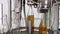 Bottling lemonade in glass bottles at the factory. Conveyor belt with glass bottles. Conveyor close-up. The process of