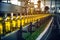 Bottling line of sunflower oil in bottles. Vegetable oil production plant. Industrial background