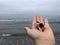 Bottom angle seascape with seashells in palm, romantic and natural setting