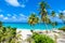 Bottom Bay, Barbados - Paradise beach on the Caribbean island of Barbados. Tropical coast with palms hanging over turquoise sea.