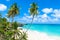 Bottom Bay, Barbados - Paradise beach on the Caribbean island of Barbados. Tropical coast with palms hanging over turquoise sea.