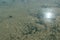 The bottom of the drying dead sea (Kuyalnik estuary, Odea region