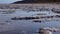 The bottom of a dying estuary, lake. Self-precipitating salt covers stones with a layer of white crystals, an environmental