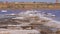 The bottom of a dying estuary, lake. Self-precipitating salt covers stones with a layer of white crystals, an environmental