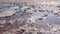 The bottom of a dying estuary, lake. Self-precipitating salt covers stones with a layer of white crystals, an environmental