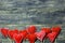 Bottom frame border of Handmade felt red color hearts on dark old wooden background