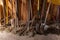 The bottom half of a selection of gardening tools including spade, fork, sledge hammer and rake inside a dusty shed