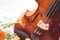 Bottom half of a violin with sheet music and flowers the front from above