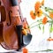 Bottom half of a violin with sheet music and flowers the front o