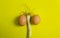 Bottom part of Scallions also known as spring onions or green onions with chicken eggs on yellow background, flat lay