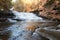 Bottom Tier of Myosotis Falls