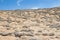 Bottom-up view to desert covered with tillandsia plant