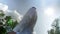 Bottom view of a bald man in a white shirt against a clear sky. Medium shot.