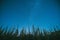 Bottom view of beautiful night starry sky from green grass in summer. Night stars above meadow in august month