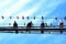Bottom view of birds standing on wires, power cables, electric wires. Blue sky background