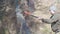 Bottom view, crop. strong man. lumberjack putting ax, axe, hatchet in the tree and getting it back, legs and hands
