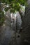 Bottom view on a Crown of Giant Baobab tree, the bigest Baobab in East Africa. Pemba, Zanzibar, Tanzania