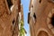bottom view of facades of ancient stone buildings at old european town, Antibes, France