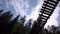 Bottom view of man on suspension bridge. Stock footage. Man walks on wooden suspension bridge on background of spruce