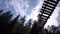 Bottom view of man on suspension bridge. Stock footage. Man walks on wooden suspension bridge on background of spruce