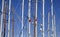 Bottom view of masts of yachts and sail boats