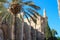 Bottom view of the palm tree and the minaret of the Lala Mustafa Pasha Mosque former St. Nicholas Cathedral. Famagusta. Cyprus