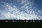 Bottom view. Silhouettes of people on the observation deck, admiring the panorama of the city, against the backdrop of the